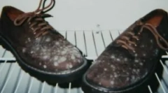 Modalități de a scăpa de mucegai pe pantofi